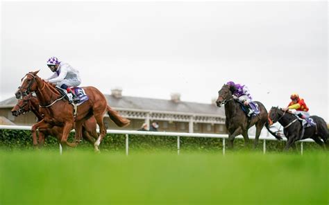 2021 Epsom Derby Odds and Latest Betting. .